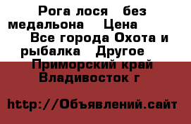 Рога лося , без медальона. › Цена ­ 15 000 - Все города Охота и рыбалка » Другое   . Приморский край,Владивосток г.